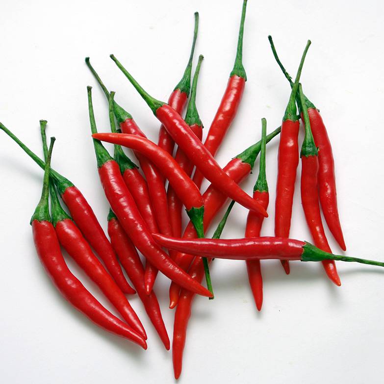 【燎原特惠】新鮮紅朝天椒小米椒小紅尖椒綠色無公害蔬菜順豐